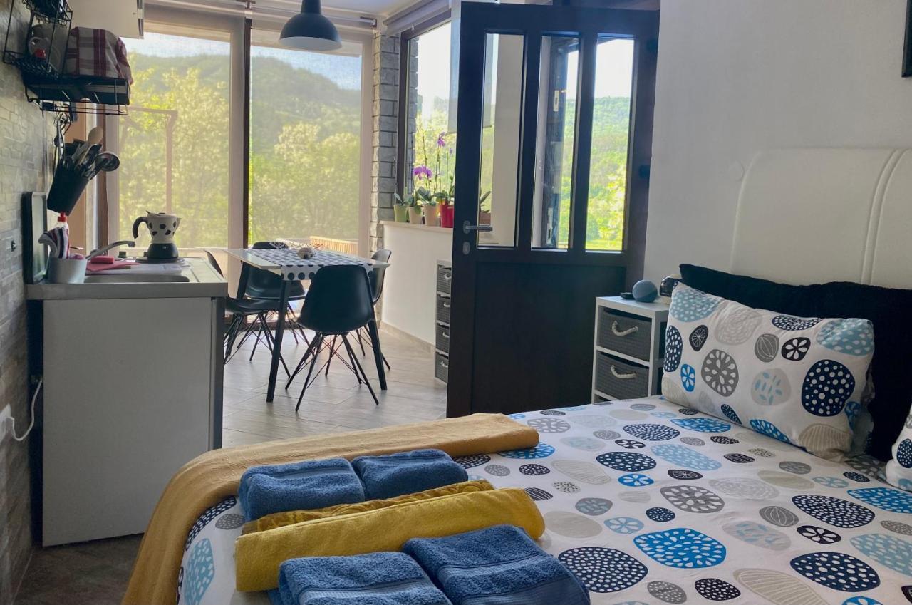 Apartman Verona Buzet Eksteriør billede